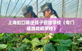 上海虹口叛逆孩子管理学校（专门戒游戏瘾学校）
