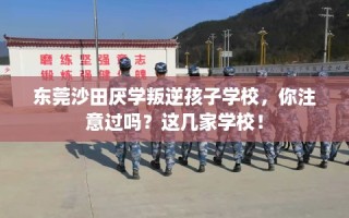 东莞沙田厌学叛逆孩子学校，你注意过吗？这几家学校！