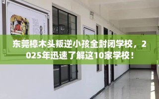 东莞樟木头叛逆小孩全封闭学校，2025年迅速了解这10家学校！
