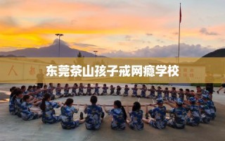 东莞茶山孩子戒网瘾学校