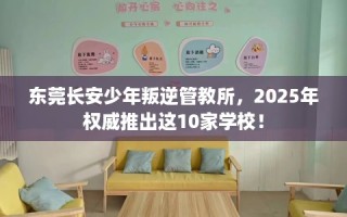 东莞长安少年叛逆管教所，2025年权威推出这10家学校！