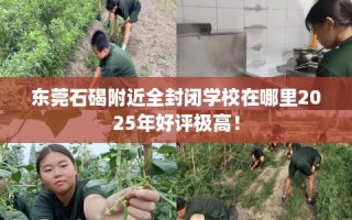 东莞石碣附近全封闭学校在哪里2025年好评极高！