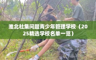 淮北杜集问题青少年管理学校（2025精选学校名单一览）