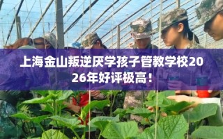 上海金山叛逆厌学孩子管教学校2026年好评极高！