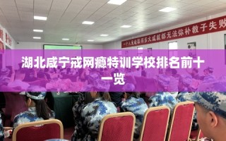 湖北咸宁戒网瘾特训学校排名前十一览