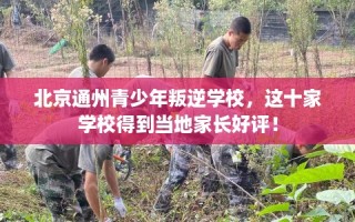 北京通州青少年叛逆学校，这十家学校得到当地家长好评！