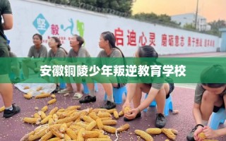 安徽铜陵少年叛逆教育学校
