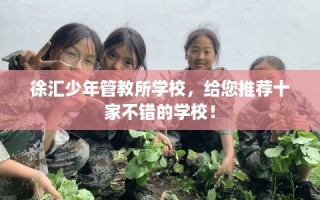 徐汇少年管教所学校，给您推荐十家不错的学校！