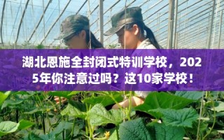 湖北恩施全封闭式特训学校，2025年你注意过吗？这10家学校！