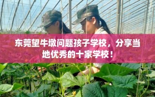 东莞望牛墩问题孩子学校，分享当地优秀的十家学校！