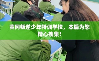 黄冈叛逆少年特训学校，本篇为您精心搜集！