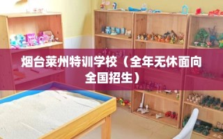 烟台莱州特训学校（全年无休面向全国招生）