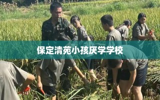 保定清苑小孩厌学学校
