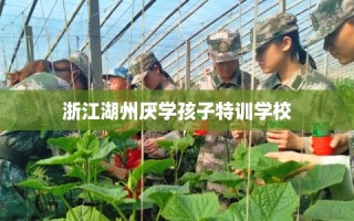 浙江湖州厌学孩子特训学校