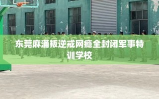 东莞麻涌叛逆戒网瘾全封闭军事特训学校