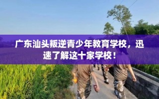 广东汕头叛逆青少年教育学校，迅速了解这十家学校！
