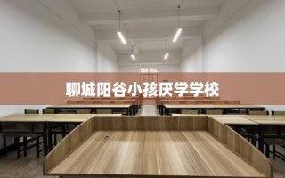 聊城阳谷小孩厌学学校