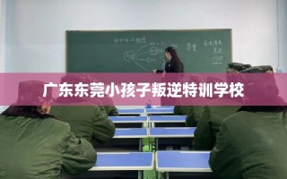 广东东莞小孩子叛逆特训学校
