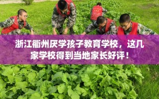 浙江衢州厌学孩子教育学校，这几家学校得到当地家长好评！
