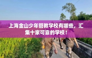 上海金山少年管教学校有哪些，汇集十家可靠的学校！