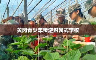 黄冈青少年叛逆封闭式学校