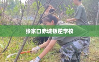 张家口赤城叛逆学校