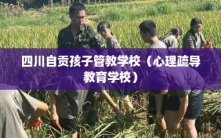 四川自贡孩子管教学校（心理疏导教育学校）