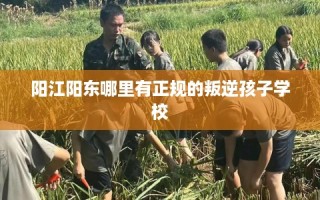 阳江阳东哪里有正规的叛逆孩子学校