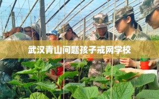 武汉青山问题孩子戒网学校