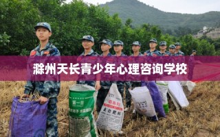 滁州天长青少年心理咨询学校