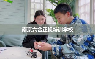 南京六合正规特训学校