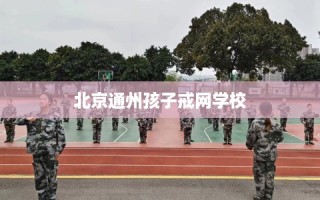 北京通州孩子戒网学校