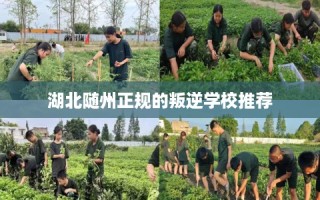 湖北随州正规的叛逆学校推荐