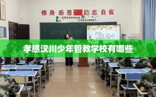 孝感汉川少年管教学校有哪些