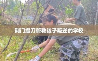 荆门掇刀管教孩子叛逆的学校