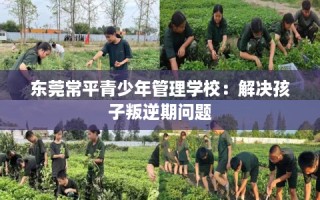 东莞常平青少年管理学校：解决孩子叛逆期问题