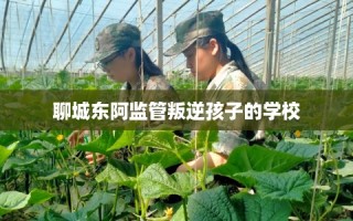 聊城东阿监管叛逆孩子的学校
