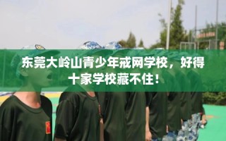 东莞大岭山青少年戒网学校，好得十家学校藏不住！