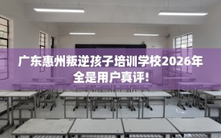 广东惠州叛逆孩子培训学校2026年全是用户真评!