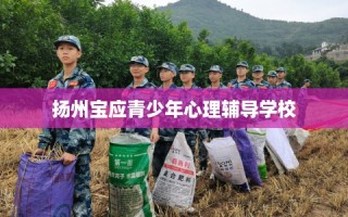 扬州宝应青少年心理辅导学校