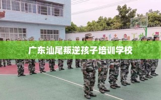 广东汕尾叛逆孩子培训学校