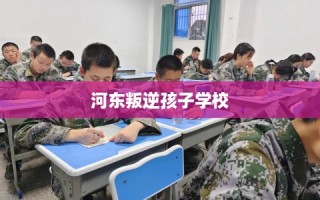 河东叛逆孩子学校