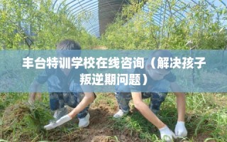 丰台特训学校在线咨询（解决孩子叛逆期问题）