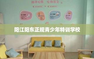 阳江阳东正规青少年特训学校