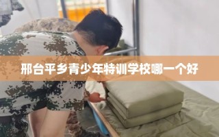 邢台平乡青少年特训学校哪一个好