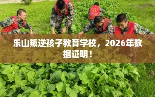 乐山叛逆孩子教育学校，2026年数据证明！