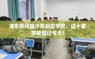 浦东新问题少年纠正学校，这十家学校错过亏大！