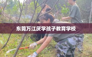 东莞万江厌学孩子教育学校