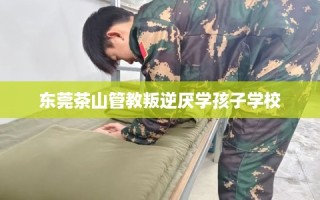 东莞茶山管教叛逆厌学孩子学校