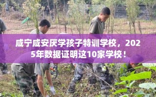 咸宁咸安厌学孩子特训学校，2025年数据证明这10家学校！
